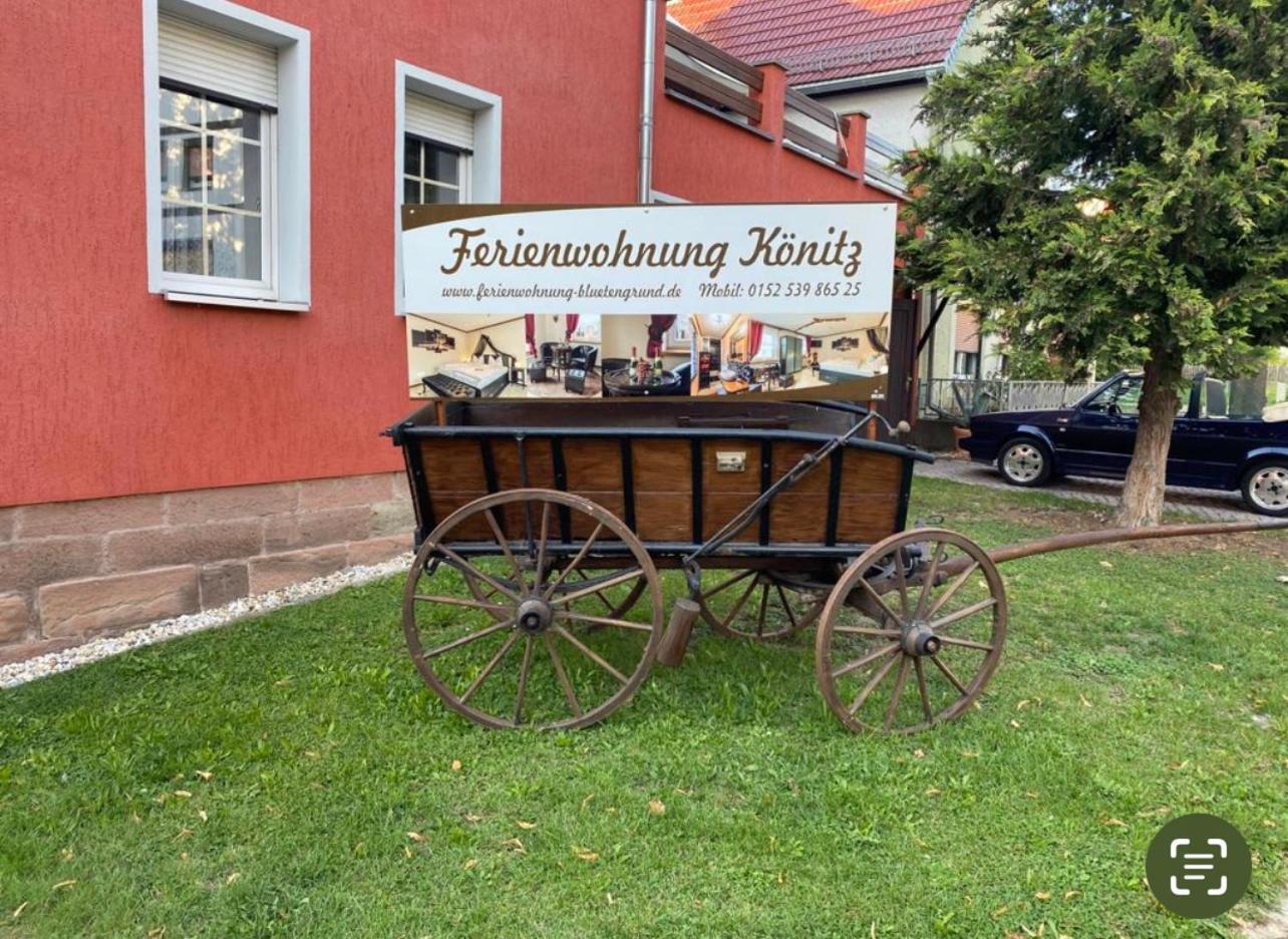 Apartment Koenitz, Ricarda